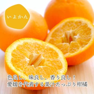 愛媛の新春柑橘を食べ比べ! ポンカン・いよかんセット便【訳あり】【C25−194】【複数個口で配送】【4066395】