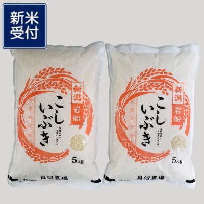 ふるさと納税 村上市 【新米受付・令和7年産米】こしいぶき 白米10kg(5kg×2袋)新潟県村上市岩船産1067103N