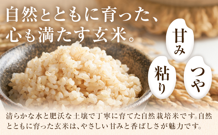 令和7年産 高野さんちの自然栽培米 玄米 10kg《通常パッケージ》株式会社有機農場《30日以内に出荷予定(土日祝除く)》熊本県 菊池市 米 お米 ヒノヒカリ ひのひかり 自然栽培米 七城物語 熊本県
