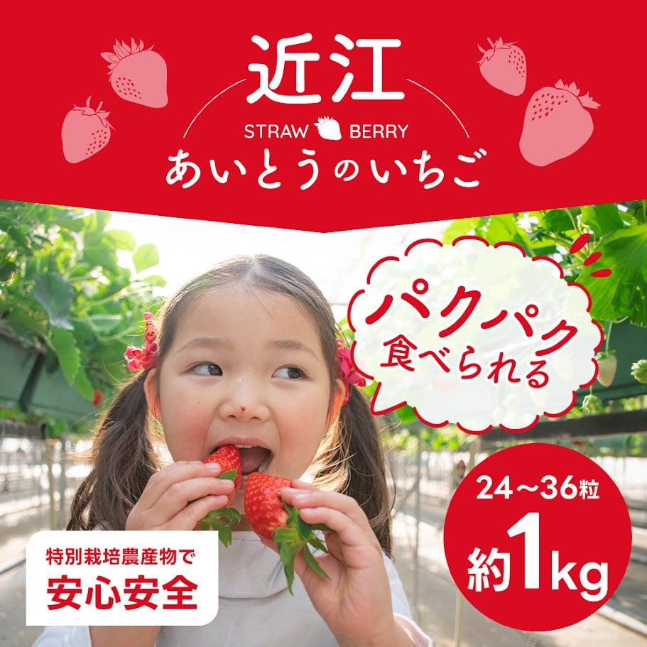 
                  あいとうイチゴ 24粒～36粒 苺 いちご 気苺 苺 旬 産地 直送 フレッシュ イチゴ フルーツ 果物 国産 ベリー ふるさと納税 苺 ふるさと 苺 furusato 苺 おすすめ苺  あいとうマーガレットステーション A-E39
                