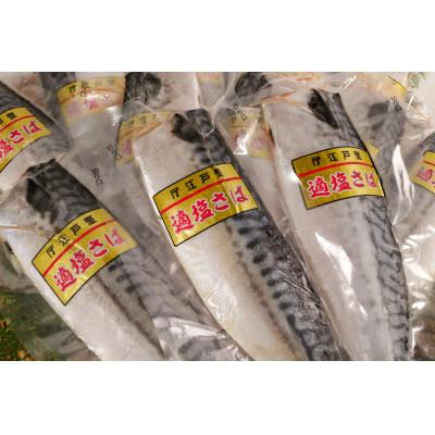 ふるさと納税 銚子市 適塩さば(真空) 12枚入 |  | 02