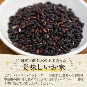 《栽培期間中農薬化学肥料不使用》掛け干し黒米(計600g・200g×3パック) 国産 九州産 鹿児島産 湧水町産 黒米 お米 米 おこめ 600g 化学肥料不使用 農薬不使用 有機 有機農業 有機肥料