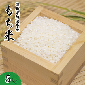 もち米 5kg 【 もち米 】