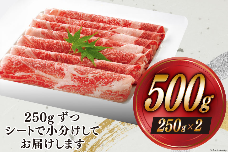 【宮崎牛】 モモ スライス 250g×2 計500g 250gずつシートで小分け [ローカルブランディング 宮崎県 美郷町 31bb0030] 黒毛和牛 国産 宮崎 A4 A5 牛肉 すき焼き しゃぶ