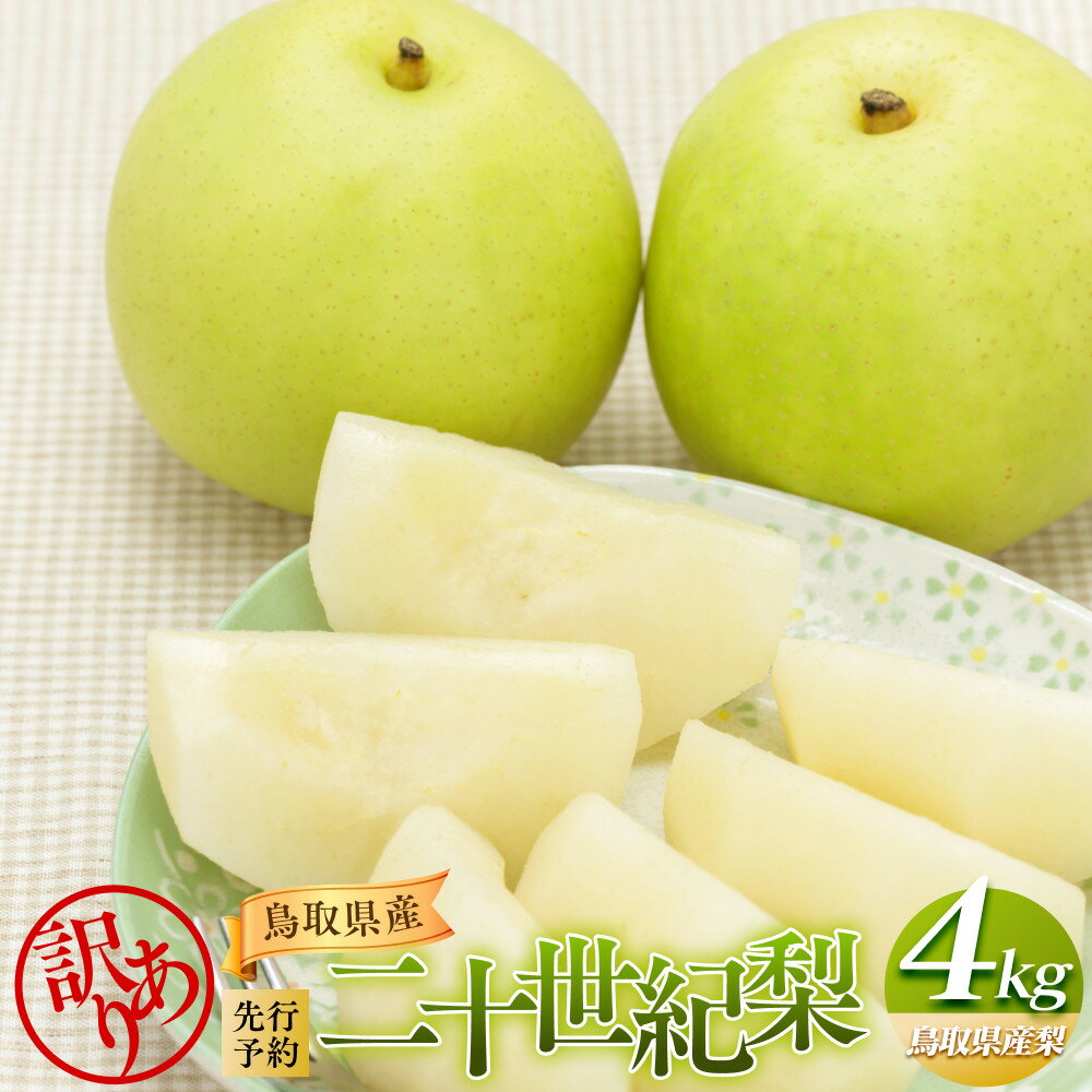 【ふるさと納税】【先行予約】【訳あり】二十世紀梨 4kg（梨）※8月下旬頃～9月下旬頃に順次発送 | 訳あり 梨 なし 果物 フルーツ おすすめ 人気