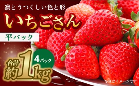 【1月より配送・やさしい味わい】いちごさん 平パック 4P 約1kg 吉野ヶ里町/リエンサーク [FCC003]
