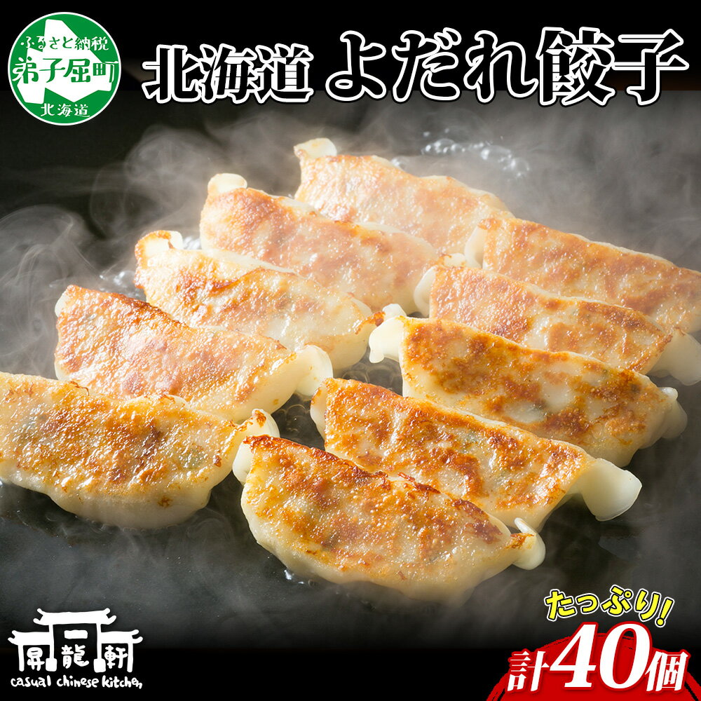 【ふるさと納税】 1812. よだれ餃子 10個入 4パック 計40個 餃子 ぎょうざ ギョウザ ギョーザ 生餃子 冷凍 中華 豚 肉 野菜 厚皮 きたほなみ ゆめちから 焼き 惣菜 おかず お取り寄せ 昇龍軒 送料無料 北海道 弟子屈町 20000円
