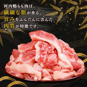 【河内鴨 ツムラ本店】国産 鴨肉 もも肉 スライス 500g