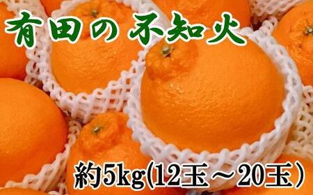  ［濃厚］有田の不知火約5kg（12～20玉）★2026年2月中旬頃より順次発送［TM33w］