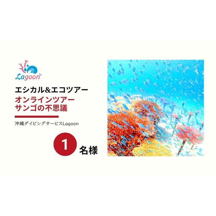 【ふるさと納税】チケット【参加特典付き貸切オンラインツアー】沖縄から自然環境を学ぶ！サンゴの不思議【恩納村ラグーン】 | 券 チケット ダイビング 体験 アクティビティ リゾート ふるさと納税 万座 恩納村 沖縄人気 おすすめ 送料無料