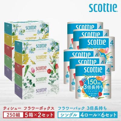 ふるさと納税 八代市 【スコッティ】ティシュー 5箱P×2セット+トイレット 4ロール(シングル)P×6セット