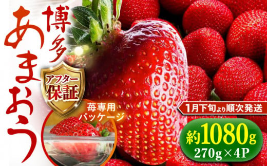 【2025年2月1日から順次発送】農家直送 朝採り新鮮いちご【博多あまおう】約270g×4《築上町》【株式会社H&Futures】 [ABDG004] 12000円