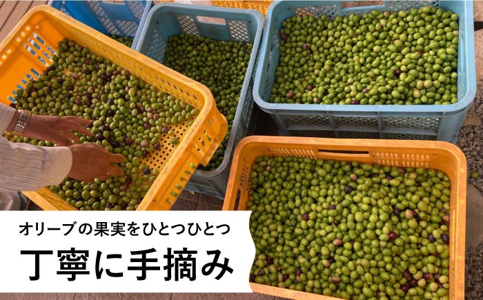 長崎県 長与町産 オリーブ 100％ 使用 摘み立て オリーブオイル オリーブ オイル