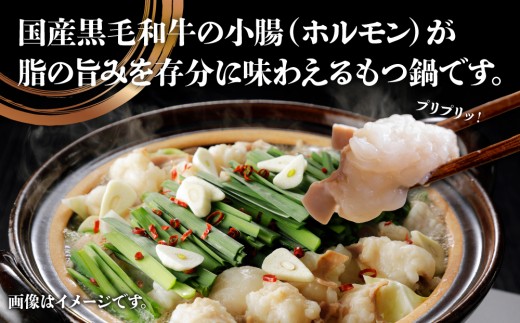 国産牛もつ鍋（12人前）【みそ味】【KT006】｜もつ鍋 鍋セット モツ もつ 国産黒毛和牛 味噌 篠栗町