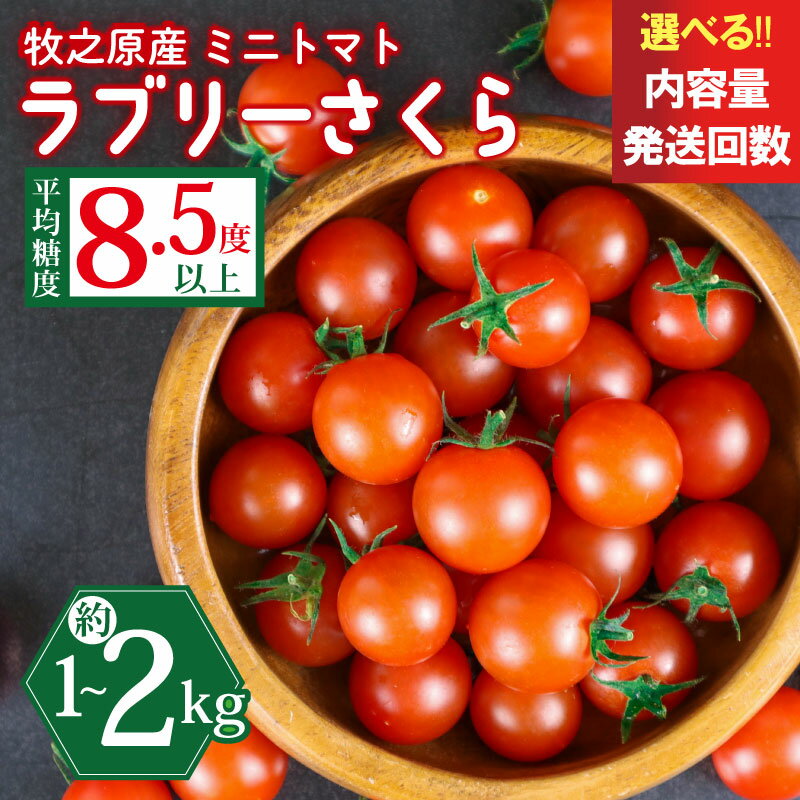 【ふるさと納税】 ミニ トマト フルーツ トマト ラブリーさくら うまたま 選べる 配送 回数 500gから お届け 可能 計 1kg ~ 2kg 国産 野菜 フルーツ 甘い 別送 静岡県 牧之原市 山本農園