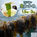 【ふるさと納税】ワカメ 1.5kg 3kg おすすめ 生 冷蔵便 期間限定 季節限定 本州限定 千葉県産 江戸前 産地直送 海藻 海産物 養殖 しゃぶしゃぶ 味噌汁 炒め物 煮物 酢の物 ラーメン そば うどん 麺類 サラダ 新富津漁業協同組合 2025年1月下旬から発送開始