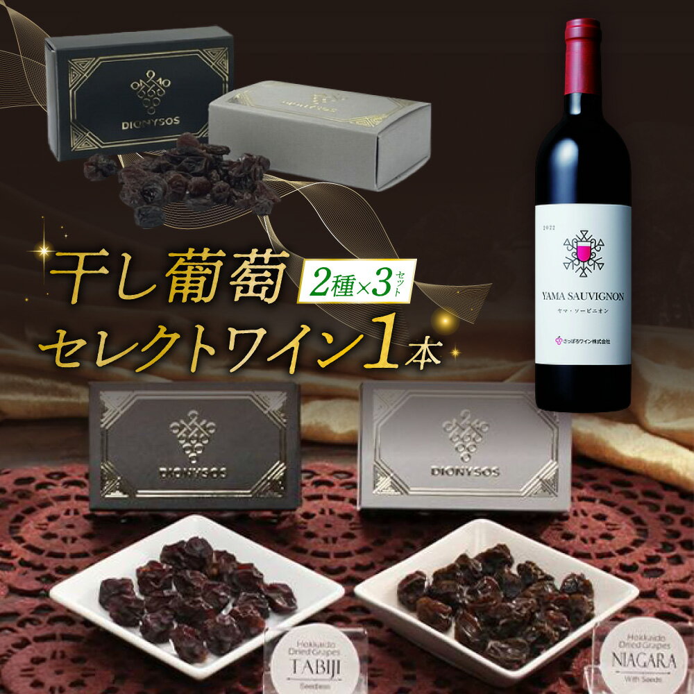【ふるさと納税】 完全無添加 干しぶどう 2種 各3箱 札幌産 ワイン 1本 セット ヤマ・ソービニオン 赤ワイン 食べ比べ 干し葡萄 旅路 ナイアガラ ブドウ レーズン ドライフルーツ ぶどう 葡萄 フルーツ 加工食品 お菓子 スイーツ おつまみ おやつ 北海道 札幌市