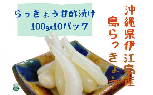 らっきょう 島らっきょうの甘酢漬け 100g 10個 [NOGUS 沖縄県 伊江村 ie47bde420001] 島らっきょう 甘酢漬け