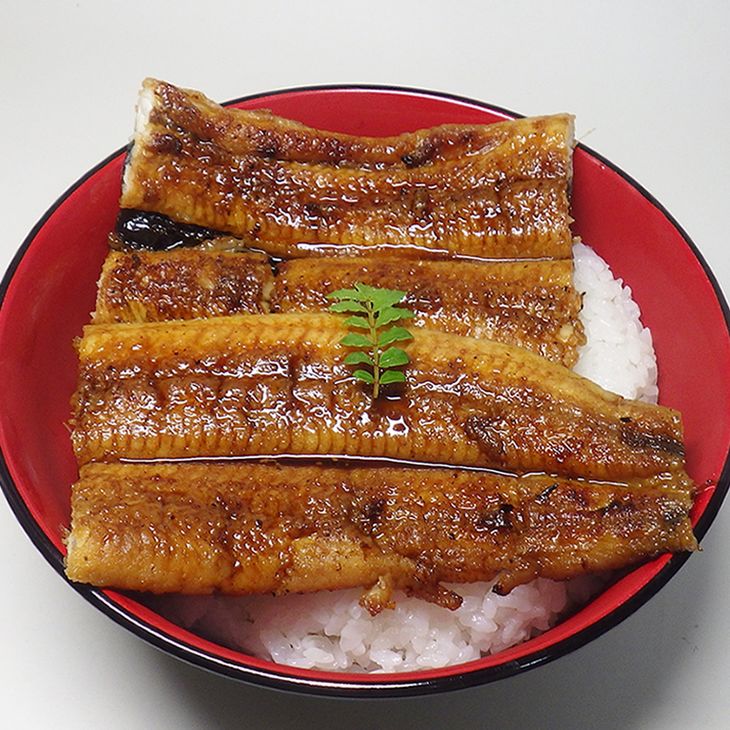 炭焼きうなぎ蒲焼　特大サイズ2尾セット（約200g前後×2尾）タレ・粉山椒付き　国産鰻　冷凍ウナギ　1尾ずつ真空パック　土用の丑の日　紀伊国屋文左衛門本舗_V6201