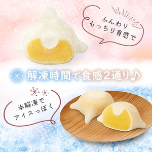 北海道 はこだて 雪んこ 2種 各 1箱 6個入り 計 2箱 アソート 北海道産 さつまいも かぼちゃ スイートポテト ふわふわ もちもち 大福 アイス スイーツ デザート 菓子 お取り寄せ 嘉福堂キ