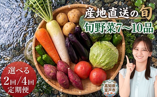 
                  【選べる定期便】季節のお野菜詰め合わせセット 定期便 旬のおまかせ 詰め合わせ 産地直送 季節の新鮮 野菜 定期便 果物 セット じゃがいも きゅうり トマト とうもろこし アスパラガス 玉ねぎ 蓮根 等  ふるさと納税 高知県 室戸市
                
