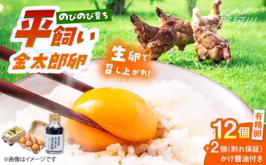 【鮮度AA級の世界最高ランク！】金太郎卵 平飼い卵 12個（6個?2パック） 卵かけご飯 セット ＜有限会社 フジノ香花園＞那珂川市 国産 平飼い 平飼い卵 たまご タマゴ 玉子 鶏卵 たまご焼き [GAM002]