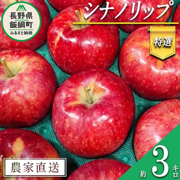 【ふるさと納税】 りんご シナノリップ 特選 3kg やまじゅうファーム 沖縄県への配送不可 令和7年度収穫分 信州の環境にやさしい農産物 減農薬栽培 長野県 飯綱町 【 信州 果物 フルーツ リンゴ 林檎 長野 16000円 】発送時期：2025年8月中旬〜