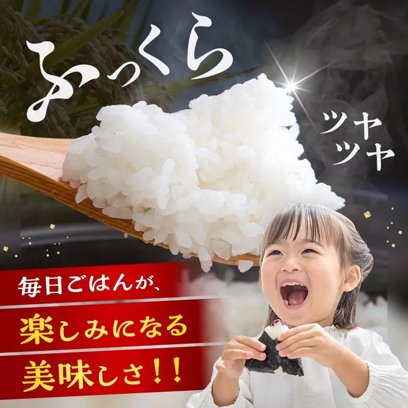 令和7年産 ななつぼし 5kg 北海道今金町産 米 白米 米俵 F21X-760