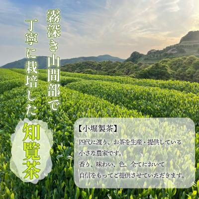 ふるさと納税 南九州市 小堀製茶の煎茶『TEA PACK』6個セット |  | 01