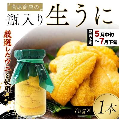 ふるさと納税 山田町 【発祥の地】三陸山田 牛乳瓶入り生うに 【2027年先行予約】75g×1本