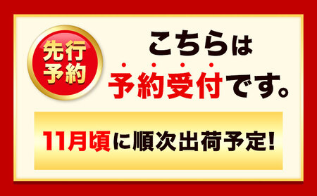 【手選別・産直】紀の川市産の安心国産レモン 約3kg 紀の川市厳選館《11月出荷》 和歌山県 紀の川市 フルーツ 果物 柑橘 レモン