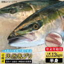 【ふるさと納税】【11/1～1/15お届け 年末年始用】壱岐島産天然寒ブリ（一本丸ものサイズ12キロ台 半身ブロック）《壱岐市》【壱岐島 玄海屋】 [JBS107] ぶり 寒ぶり ブリ 魚 刺身 しゃぶしゃぶ 222000 222000円 のし プレゼント ギフト 冷蔵配送