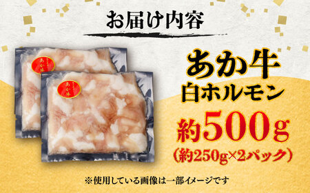 あか牛 白 ホルモン 約500g (約250g×2P) / 牛肉 褐毛和種 ホルモン 肉 九州産 国産牛 熊本県産 小分け あかうし 鍋 焼肉【五右衛門フーズ】[BHCY009]
