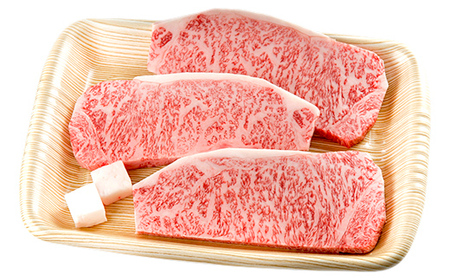 A4等級以上 飛騨牛サーロインステーキ用 500g ( 167g × 3枚 )　霜降り 牛肉 サーロイン 牛肉ステーキ 牛肉 肉 和牛 高級牛肉 3人前 国産牛 国産 牛 ブランド牛 ネオプライムヒグ
