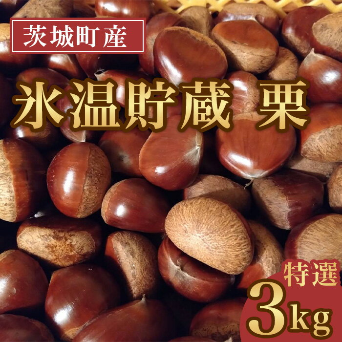 【ふるさと納税】693 氷温貯蔵 栗 特選 3L 3kg【海老澤農園】