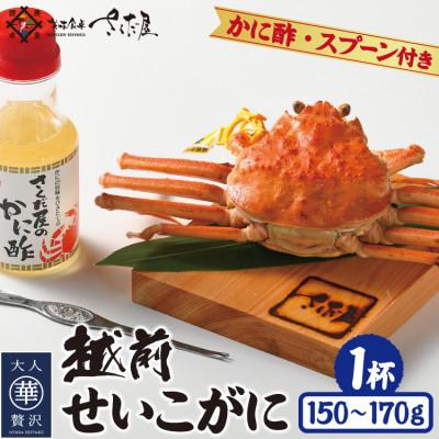 ふるさと納税 越前町 浜茹で越前せいこが約150〜170g1杯　かに酢&amp;かにスプーン付き
