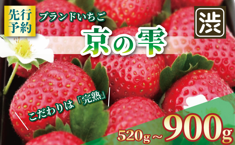 
            【京都のブランドいちご】 京の雫 いちご 選べる 内容量 520g 900g 《2025年12月～2026年5月発送》 イチゴ 苺 完熟 ストロベリー ベリー フルーツ くだもの 果物 ブランド デザート ケーキ ジャム デザート おやつ 甘い 糖度 新鮮 産地 直送 フレッシュ 人気 おすすめ ふるさと納税 京都 八幡 八幡市 渋谷農園
          