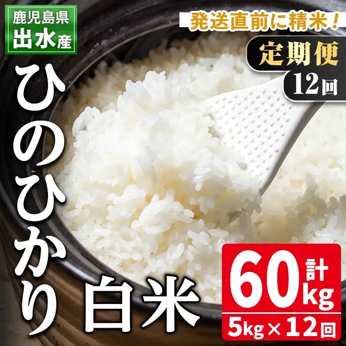 【12回定期便】白米 ひのひかり 5kg 定期便【田上商店】i653
