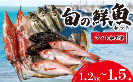 旬 の 鮮魚 ( フィレ 加工 ) 約 1.2kg ~ 1.5kg 鮮魚 ボックス  処理済み 詰め合わせ 赤いか のどぐろ アジ 天然 下処理 済み おまかせ お楽しみ 魚 魚介 フィーレ 旬 春 夏 秋 冬 中元 歳暮 年末年始 下関 山口