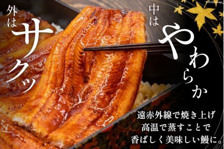 うなぎ 国産 鰻 蒲焼き 4尾 12回 定期便