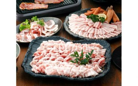 こだわり尾鈴豚セット【肉 豚肉 国産 九州産 宮崎県産 豚しゃぶ 焼肉 おうち時間 バーベキュー バラエティ セット お楽しみ】