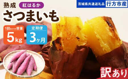 【3ヶ月定期便】【訳あり】“熟成”茨城県産さつまいも【紅はるか】約5kg(茨城県共通返礼品・行方市産）合計約15kg 芋 いも サツマイモ 野菜 やさい 国産