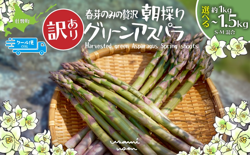 
                  【2026年予約】【訳あり】朝採りグリーンアスパラ（春芽）S-M混合 北海道壮瞥町産 選べる容量 約1kg～1.5kg【ふるさと納税 人気 おすすめ アスパラガス 朝採れ 野菜 旬 春 とれたて 甘い 冷蔵 産地直送 グルメ 送料無料】 SBTAJ038-v
                