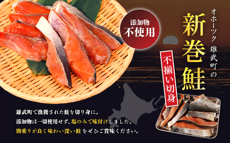 北海道産 新巻鮭切身1kg 不揃い | ふるさと納税 北海道 雄武 鮭 サケ さけ シャケ 新巻鮭 魚介類 海鮮 魚 切り身 切身 ふぞろい 不揃い 塩鮭 おかず お弁当 ご飯のお供 お取り寄せ ワン