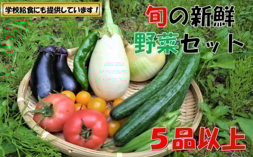 【数量限定】小国の旬の新鮮野菜セット　5品以上　