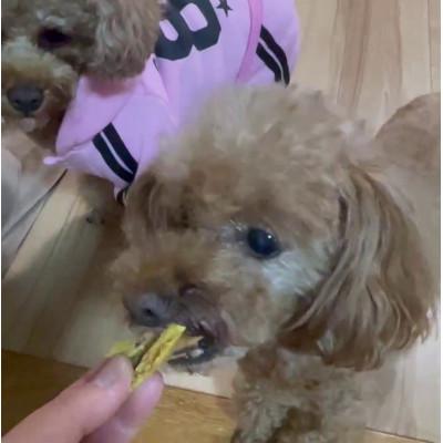 ふるさと納税 茨城県 茨城県産ほしいもの未利用部分を使用した犬の無添加おやつ(フレークタイプ30g×4袋) |  | 03
