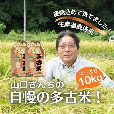 
山口さんちの＜令和6年産＞多古米コシヒカリ(精米)10kg【1459866】
