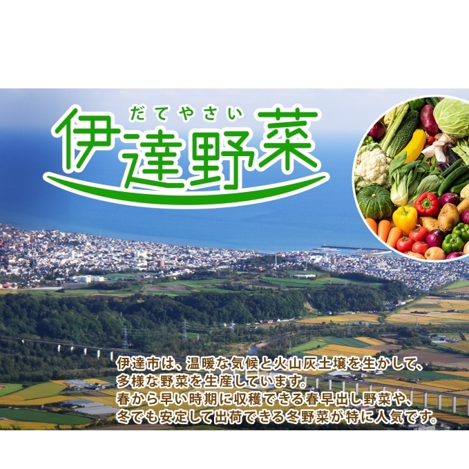 【 2025年 発送 】先行予約 北海道 伊達 ミニトマト うま アイコ 約3kg  ジューシー プチ トマト 甘い 濃厚 彩り 鮮やか 野菜 産地直送_イメージ4