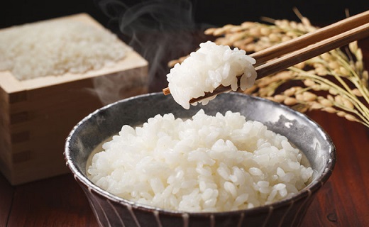 【令和7年産新米予約】【定期便】特別栽培米「極上南魚沼産コシヒカリ」（有機肥料、8割減農薬栽培）精米8ｋｇ×全3回【2025年9月中旬より順次発送予定】