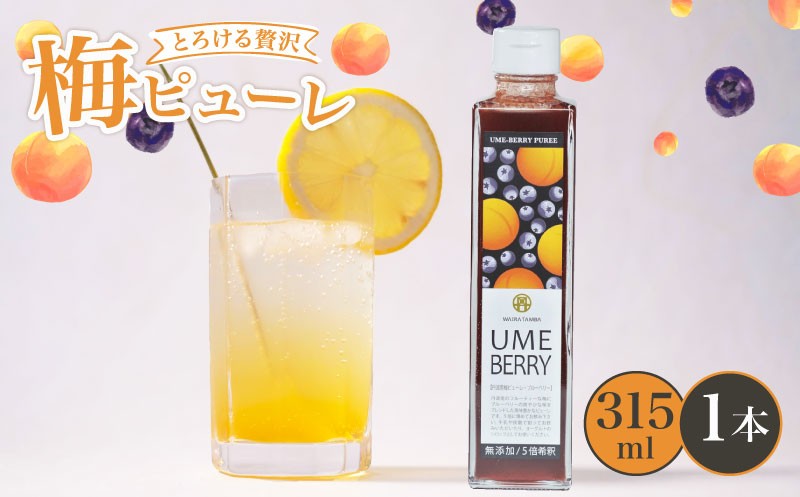 
            梅ピューレUMEBERRY 1本 315ml ( 梅ピューレ ジュレ 無添加 フルーツ 果物 梅 完熟梅 うめ ブルーベリー ベリー ジュース 梅ジュース ピューレ シロップ フルーツシロップ 果肉 常温 炭酸水 炭酸割 人気 おすすめ さわやか 濃厚 瓶 贈り物 ギフト プレゼント ヨーグルト 割材 炭酸割 お酒 焼酎 カクテル 京都府 京都 京丹波町 京丹波 )
          
